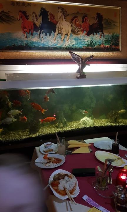 Restaurant Peking-Thai-Sushi